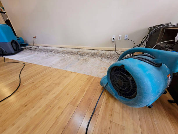 Professional Structural Drying technician working in Alexander, NC